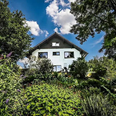 Villa Kakelbont Borgloon-3
